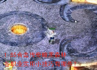 1.85合击传奇暗黑森林各职业实用小技巧有哪些? 1.85合击传奇暗黑森林各职业实用小技巧有哪些?