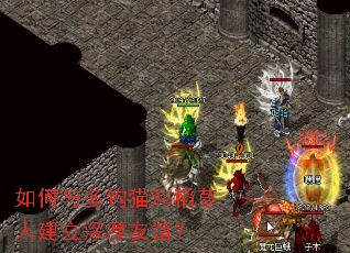 如何与多钩猫和稻草人建立深厚友谊? 如何与多钩猫和稻草人建立深厚友谊?