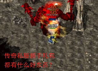 传奇私服新手礼包都有什么好东西? 传奇私服新手礼包都有什么好东西?