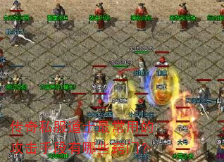 传奇私服道士最常用的攻击手段有哪些窍门? 传奇私服道士最常用的攻击手段有哪些窍门?