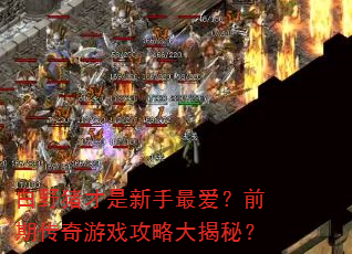 白野猪才是新手最爱?前期传奇游戏攻略大揭秘? 白野猪才是新手最爱?前期传奇游戏攻略大揭秘?