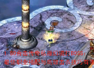 1.80ϻ˽þBOSSְҵЧɱЩ