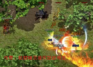 传奇:骷髅精灵缘何踪迹难觅? 传奇:骷髅精灵缘何踪迹难觅?