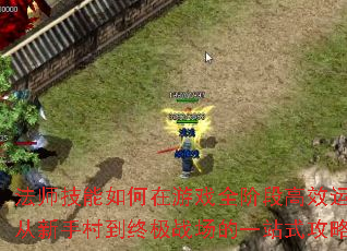 ʦϷȫ׶θЧãִ嵽ռսһվʽԽ