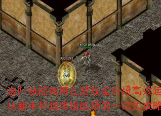 ʦϷȫ׶θЧãִ嵽ռսһվʽԽ