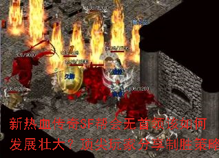 新热血传奇SF帮会无首领该如何发展壮大?顶尖玩家分享制胜策略 新热血传奇SF帮会无首领该如何发展壮大?顶尖玩家分享制胜策略