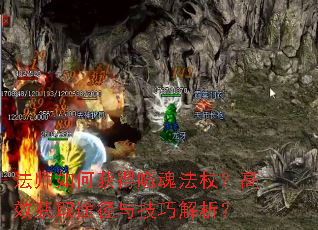 ʦλɻ귨ȣЧȡ;뼼ɽ