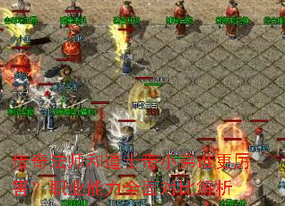 淨ʦ͵ʿС˭ְҵȫԱȽ