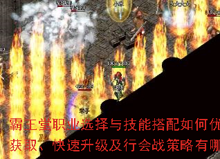 ְҵѡ뼼ܴŻװȡлսЩɣ