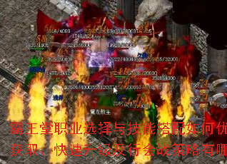 ְҵѡ뼼ܴŻװȡлսЩɣ