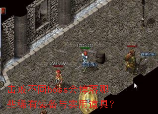 ܲͬbossЩϡװʵõߣ