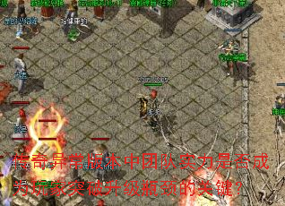 传奇异常版本中团队实力是否成为玩家突破升级瓶颈的关键? 传奇异常版本中团队实力是否成为玩家突破升级瓶颈的关键?