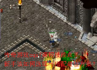 Ϸcqsfγ̼ڶָ࣬ѡѷ