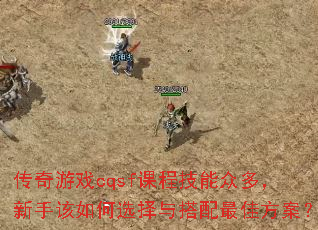 Ϸcqsfγ̼ڶָ࣬ѡѷ