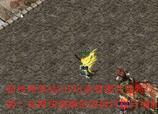 ´վVIPЩƣοٽȨ븣