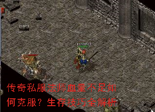 传奇私服法师血量不足如何克服?生存技巧全解析 传奇私服法师血量不足如何克服?生存技巧全解析