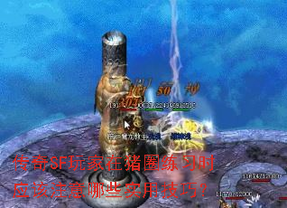 传奇SF玩家在猪圈练习时应该注意哪些实用技巧? 传奇SF玩家在猪圈练习时应该注意哪些实用技巧?