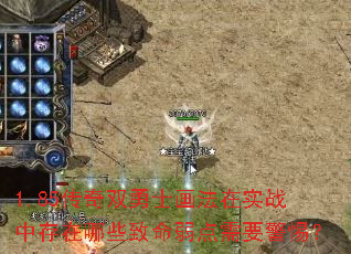 1.85˫ʿʵսдЩҪ裿