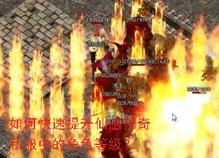 如何快速提升仙感传奇私服中的角色等级? 如何快速提升仙感传奇私服中的角色等级?