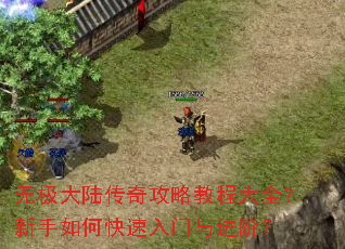 无极大陆传奇攻略教程大全?新手如何快速入门与进阶? 无极大陆传奇攻略教程大全?新手如何快速入门与进阶?