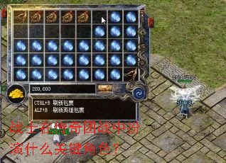 战士在传奇团战中扮演什么关键角色? 战士在传奇团战中扮演什么关键角色?