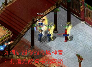 如何驯服你的专属神兽?打造无敌狗书全攻略 如何驯服你的专属神兽?打造无敌狗书全攻略