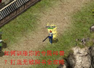 如何驯服你的专属神兽?打造无敌狗书全攻略 如何驯服你的专属神兽?打造无敌狗书全攻略