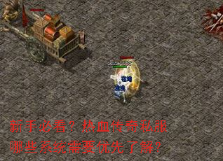 ֱؿѪ˽ЩϵͳҪ˽⣿