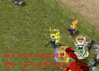 道士带1级小狗如何单挑教主?新手必看攻略指南 道士带1级小狗如何单挑教主?新手必看攻略指南