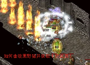 ��λ��ܺ�Ұ������ȡʮ��������