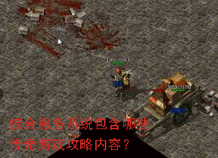 �ۺϷ���ϵͳ������Щ������Ϸ�������ݣ�