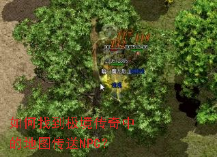 ����ҵ����������еĵ�ͼ����NPC��