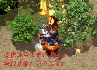 ʢ�Ʊ�ѩ����sf���Զ���ȡ�������������ã�