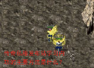 ����˽������վѧϰ�ڹ�����Ҫ������ʲô��