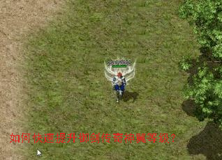 ��ο��������������������ȼ���