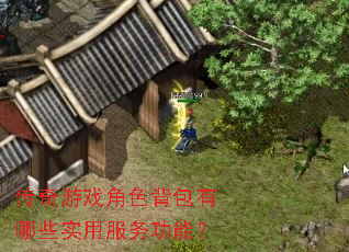 ������Ϸ��ɫ��������Щʵ�÷����ܣ�