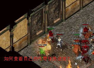 ��β鿴�Լ��Ĵ���������ȣ�