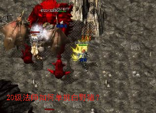 20����ʦ��ε�����Ұ����