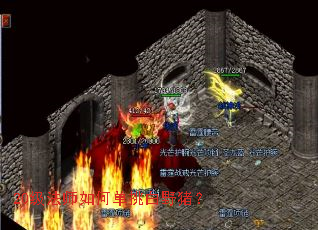 20����ʦ��ε�����Ұ����