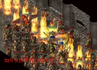 ��ο����������ܵȼ���