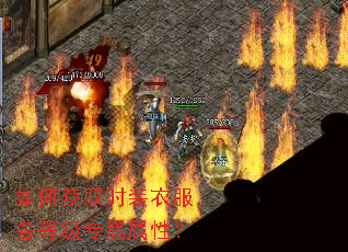 ��λ�ȡʱװ�·����ȼ�ר�����ԣ�