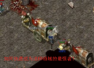 ��ο��ٳ�Ϊ��ʦ�������ǿ�ߣ�