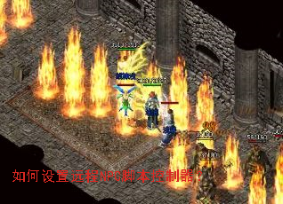 �������Զ��NPC�ű���������