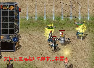 �������Զ��NPC�ű���������