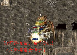 ���ѡ�����ʺ����ְҵ�Է������Ǳ����