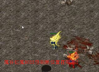 ħ�Ⱥ�ħBOSS��ˢ��λ�������