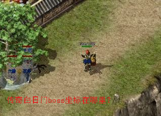 ���������boss���������