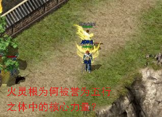 �����Ϊ�α���Ϊ����֮���еĺ���������