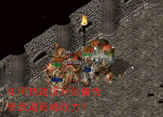 ��ο�������������������۷�ս����