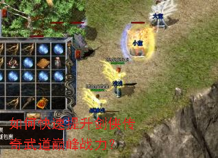 ��ο�������������������۷�ս����